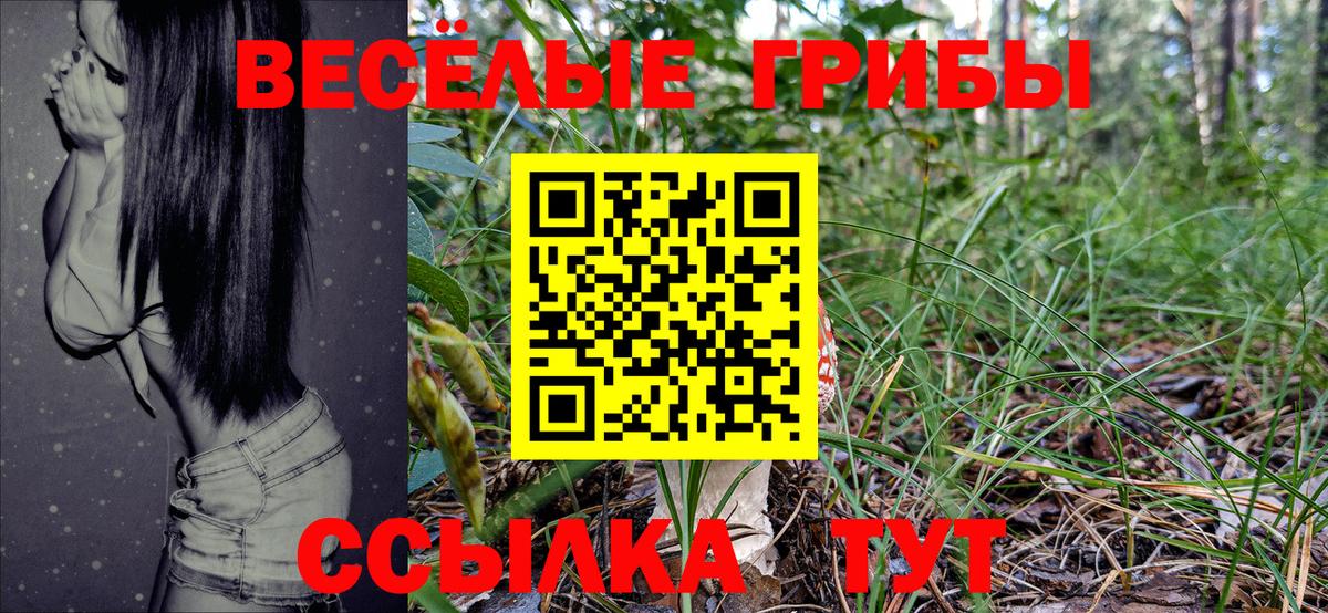 Галлюциногенные грибы Psilocybine cubensis Петропавловск-Камчатский